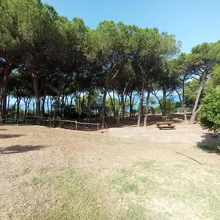 Ichnos South Sardinia Iun Q8503 Casa vacanze Quartu SantʼElena