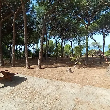 Casa vacanze Ichnos South Sardinia Iun Q8503 *